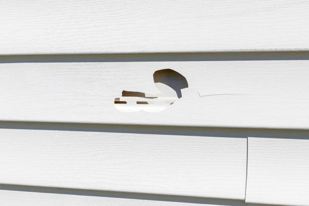 Best Foreclosure Cleanout  in Russellville, KY