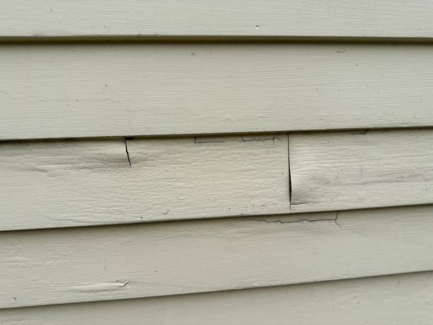 Best Demolition Debris Removal  in Russellville, KY